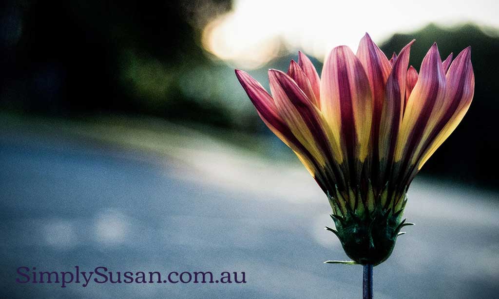 Inspiration at simplysusan