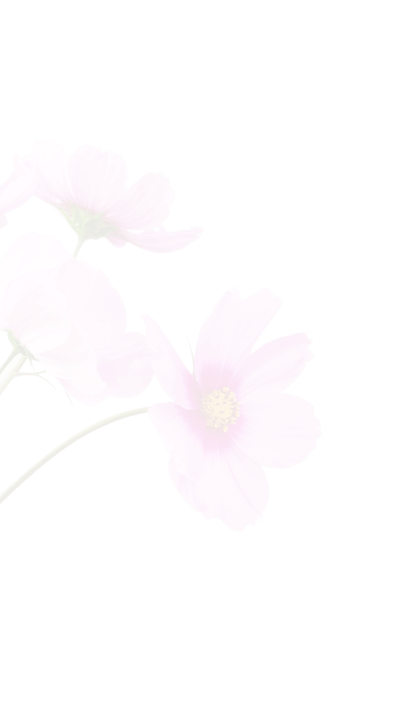 nature-blossom-plant-white-flower-petal-767448-pxhere 1(1)