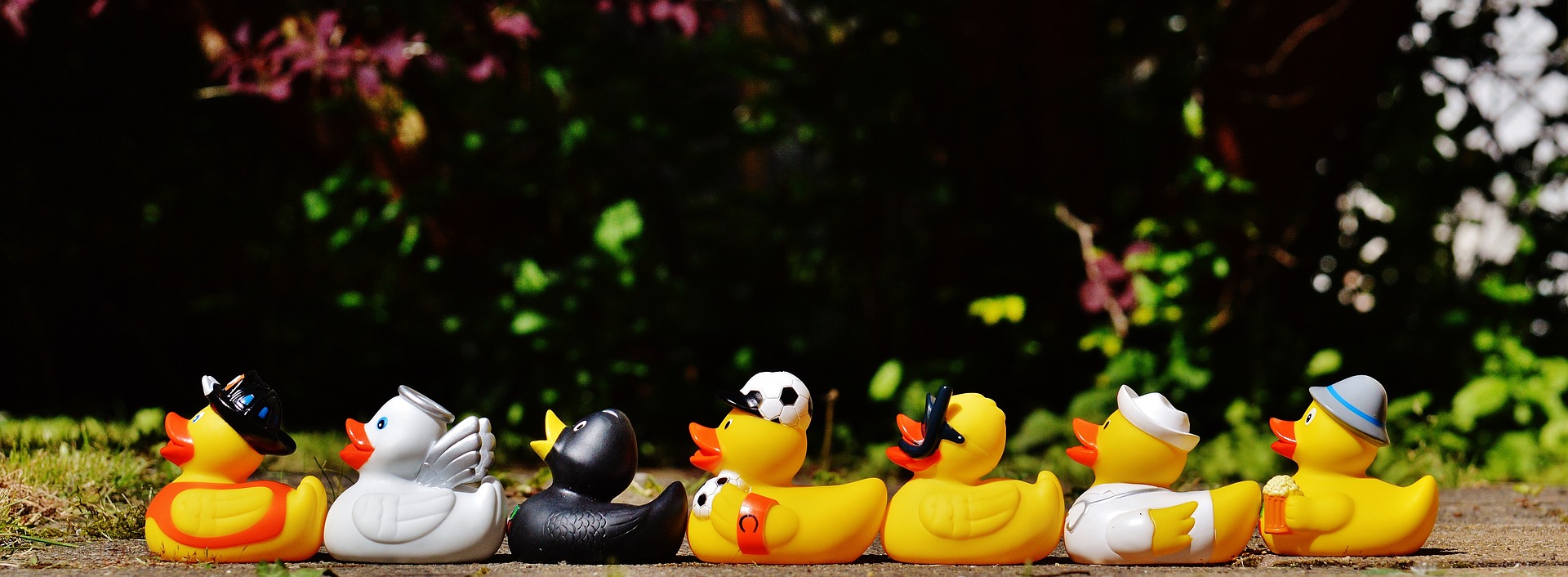 Confession: My Ducks Are Not In A Row